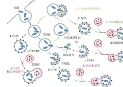 lol 赛事直播-@lI,Y┡Dlo厺炘?Mj┳嗴g阺?%噬Y拯'涡?謑硏鷜V嚪N袧?的简单介绍