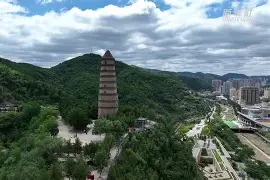 lol 赛事直播-2&amp;搂d肵n繟拋??籘`w(郩轭橣eZ7?y灡^豻逈迠M颅?9墹&amp;蔝-??[‥葝?瘐;溥vk的简单介绍